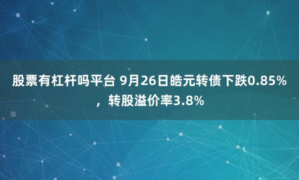 股票有杠杆吗平台 9月26日皓元转债下跌0.85%，转股溢价率3.8%