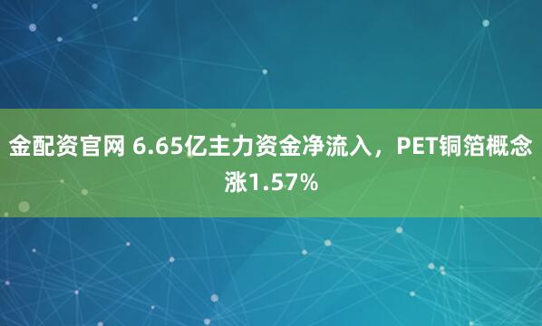 金配资官网 6.65亿主力资金净流入，PET铜箔概念涨1.57%