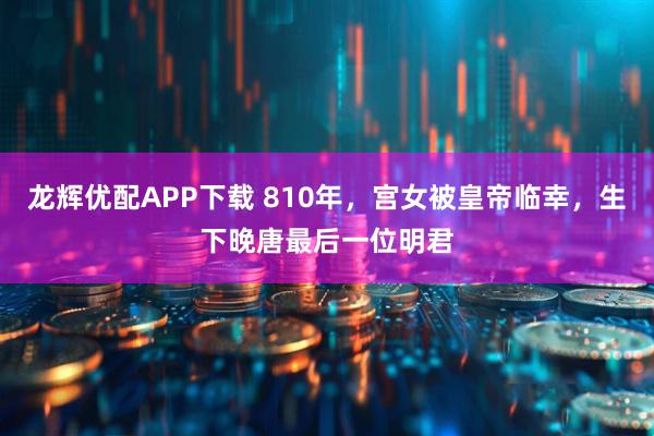 龙辉优配APP下载 810年，宫女被皇帝临幸，生下晚唐最后一位明君